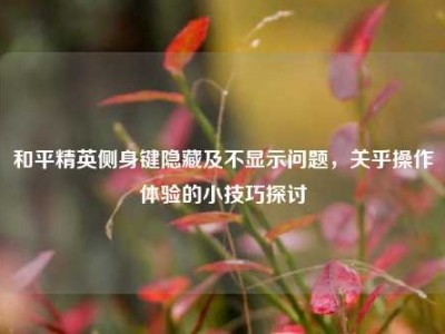 和平精英侧身键隐藏及不显示问题，关乎操作体验的小技巧探讨