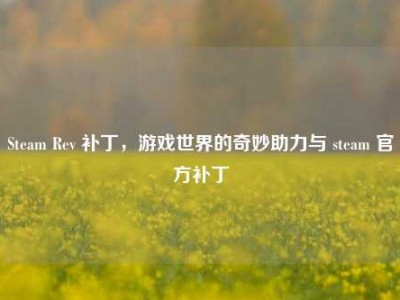 Steam Rev 补丁，游戏世界的奇妙助力与 steam 官方补丁