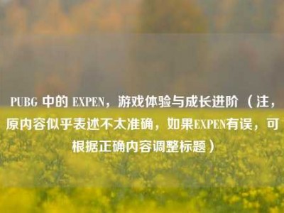 PUBG 中的 EXPEN，游戏体验与成长进阶 （注，原内容似乎表述不太准确，如果EXPEN有误，可根据正确内容调整标题）