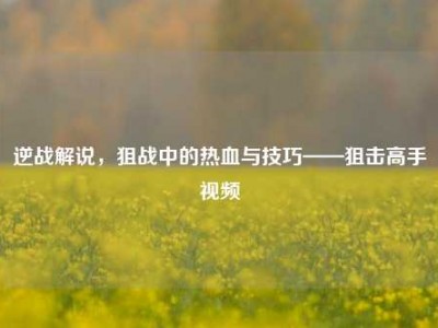 逆战解说，狙战中的热血与技巧——狙击高手视频