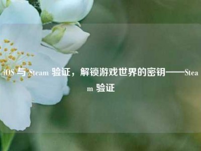 iOS 与 Steam 验证，解锁游戏世界的密钥——Steam 验证