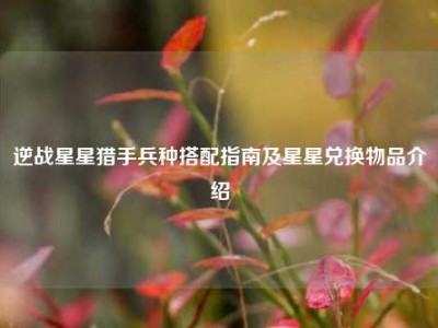 逆战星星猎手兵种搭配指南及星星兑换物品介绍
