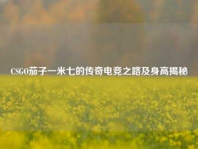 CSGO茄子一米七的传奇电竞之路及身高揭秘