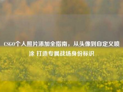 CSGO个人照片添加全指南，从头像到自定义喷涂 打造专属战场身份标识