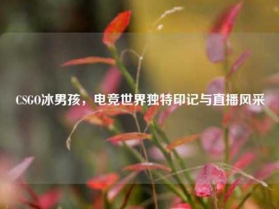 CSGO冰男孩，电竞世界独特印记与直播风采