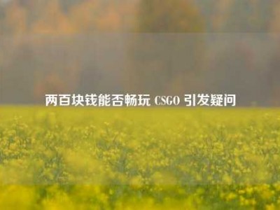 两百块钱能否畅玩 CSGO 引发疑问