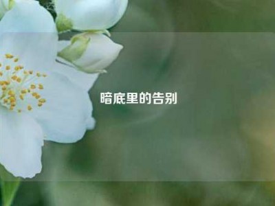 暗底里的告别