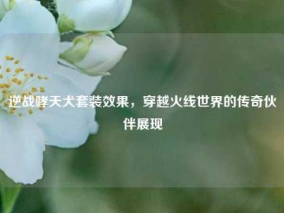 逆战哮天犬套装效果，穿越火线世界的传奇伙伴展现