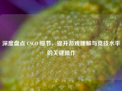 深度盘点 CSGO 细节，提升游戏理解与竞技水平的关键操作