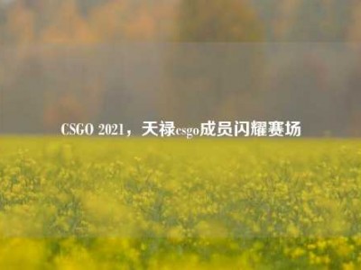 CSGO 2021，天禄csgo成员闪耀赛场