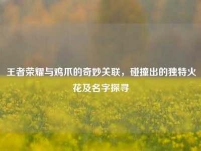 王者荣耀与鸡爪的奇妙关联，碰撞出的独特火花及名字探寻