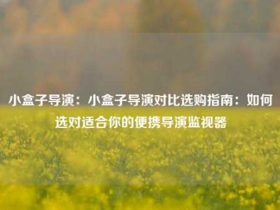小盒子导演：小盒子导演对比选购指南：如何选对适合你的便携导演监视器