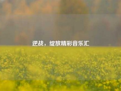 逆战，绽放精彩音乐汇