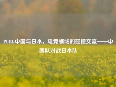PUBG中国与日本，电竞领域的碰撞交流——中国队对战日本队