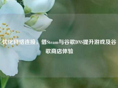 优化网络连接，借Steam与谷歌DNS提升游戏及谷歌商店体验