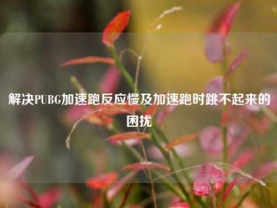 解决PUBG加速跑反应慢及加速跑时跳不起来的困扰