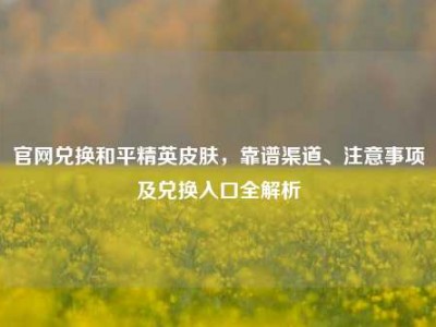 官网兑换和平精英皮肤，靠谱渠道、注意事项及兑换入口全解析