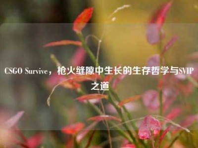 CSGO Survive，枪火缝隙中生长的生存哲学与SVIP之道