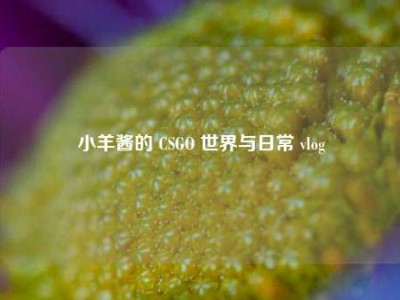 小羊酱的 CSGO 世界与日常 vlog