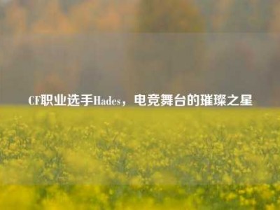 CF职业选手Hades，电竞舞台的璀璨之星