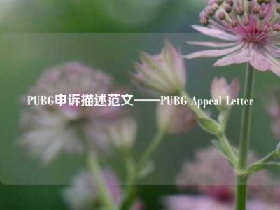 PUBG申诉描述范文——PUBG Appeal Letter