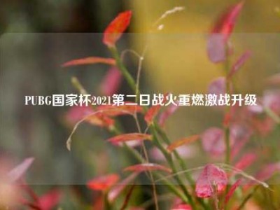 PUBG国家杯2021第二日战火重燃激战升级