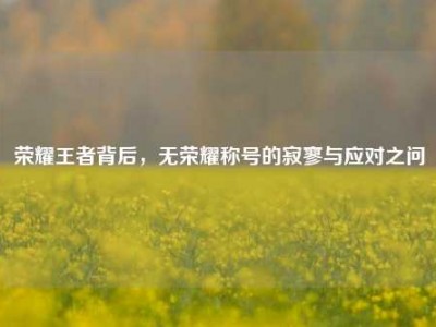 荣耀王者背后，无荣耀称号的寂寥与应对之问