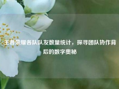 王者荣耀各队队友数量统计，探寻团队协作背后的数字奥秘