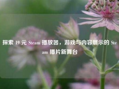 探索 19 元 Steam 播放器，游戏与内容展示的 Steam 播片新舞台