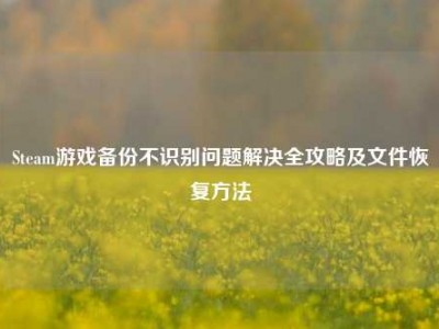 Steam游戏备份不识别问题解决全攻略及文件恢复方法