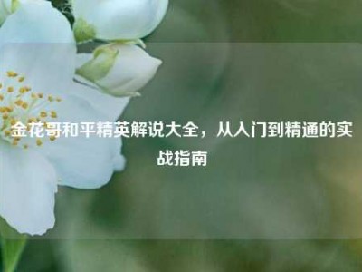 金花哥和平精英解说大全，从入门到精通的实战指南