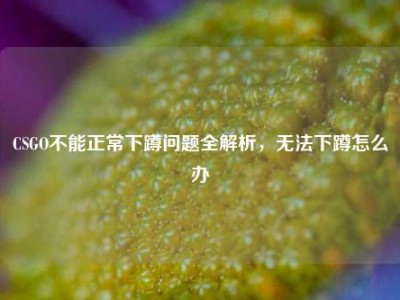 CSGO不能正常下蹲问题全解析，无法下蹲怎么办