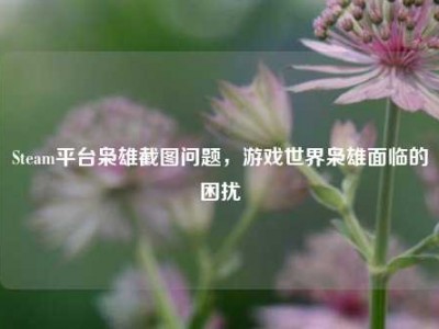 Steam平台枭雄截图问题，游戏世界枭雄面临的困扰