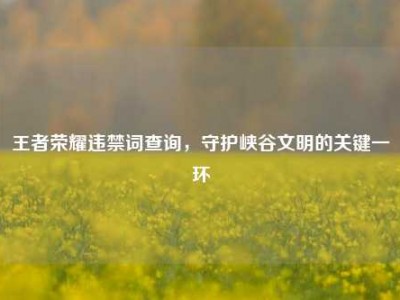 王者荣耀违禁词查询，守护峡谷文明的关键一环
