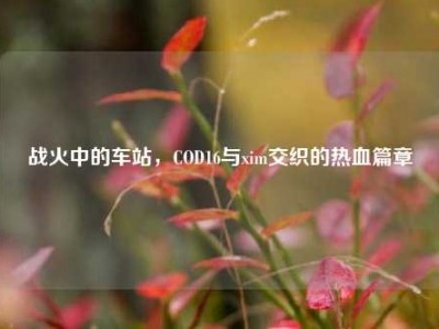 战火中的车站，COD16与xim交织的热血篇章
