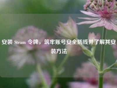 安装 Steam 令牌，筑牢账号安全防线并了解其安装方法
