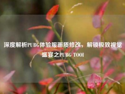 深度解析PUBG体验服画质修改，解锁极致视觉盛宴之PUBG TOOI