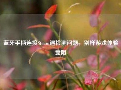 蓝牙手柄连接Steam遇检测问题，别样游戏体验受阻