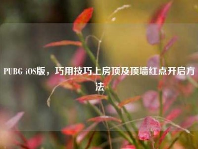 PUBG iOS版，巧用技巧上房顶及顶墙红点开启方法