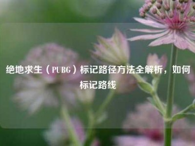 绝地求生（PUBG）标记路径方法全解析，如何标记路线