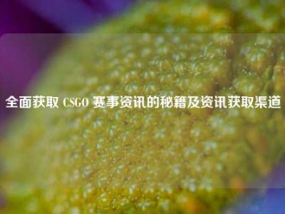 全面获取 CSGO 赛事资讯的秘籍及资讯获取渠道