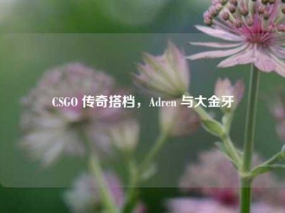 CSGO 传奇搭档，Adren 与大金牙