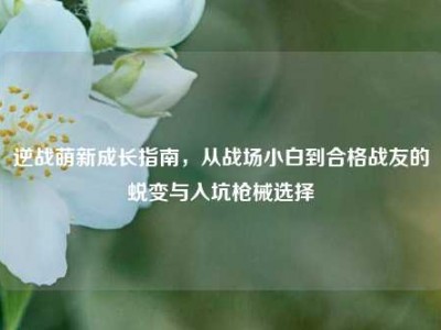 逆战萌新成长指南，从战场小白到合格战友的蜕变与入坑枪械选择