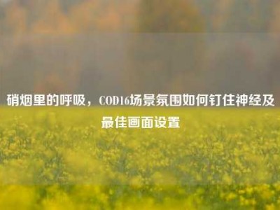 硝烟里的呼吸，COD16场景氛围如何钉住神经及最佳画面设置