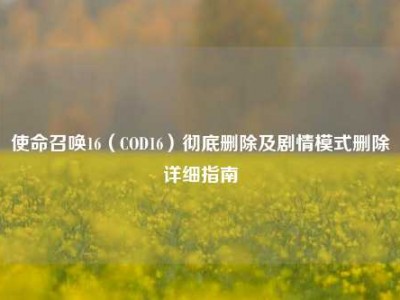 使命召唤16（COD16）彻底删除及剧情模式删除详细指南
