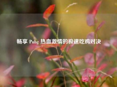 畅享 Pubg 热血激情的极速吃鸡对决