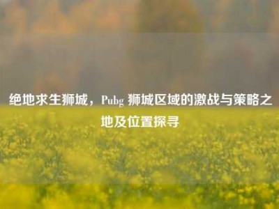 绝地求生狮城，Pubg 狮城区域的激战与策略之地及位置探寻