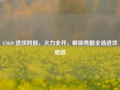 CSGO 进攻时刻，火力全开，解锁秀翻全场进攻思路