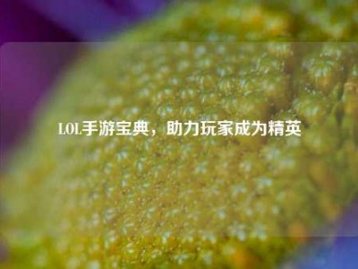 LOL手游宝典，助力玩家成为精英