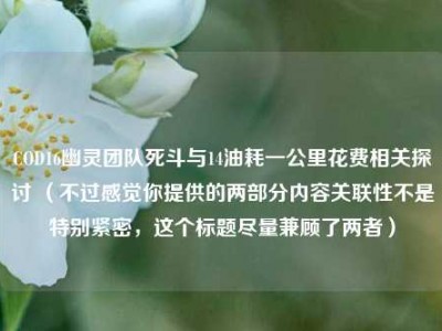 COD16幽灵团队死斗与14油耗一公里花费相关探讨 （不过感觉你提供的两部分内容关联性不是特别紧密，这个标题尽量兼顾了两者）